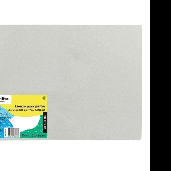 LIENZO PARA PINTOR 24X30CM PAQ. C3 PZAS. GOBA E.12 C.24